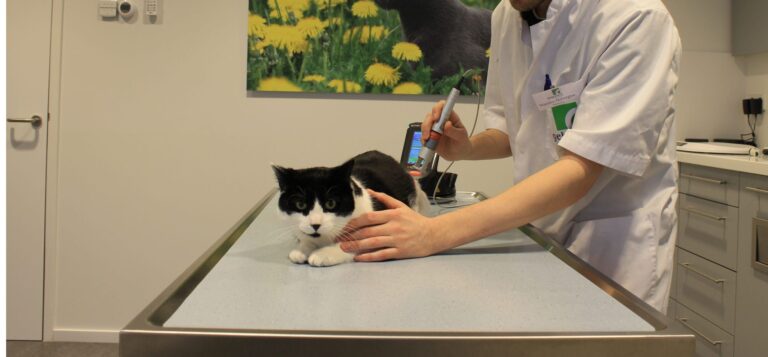 Merriespreekuur 2024