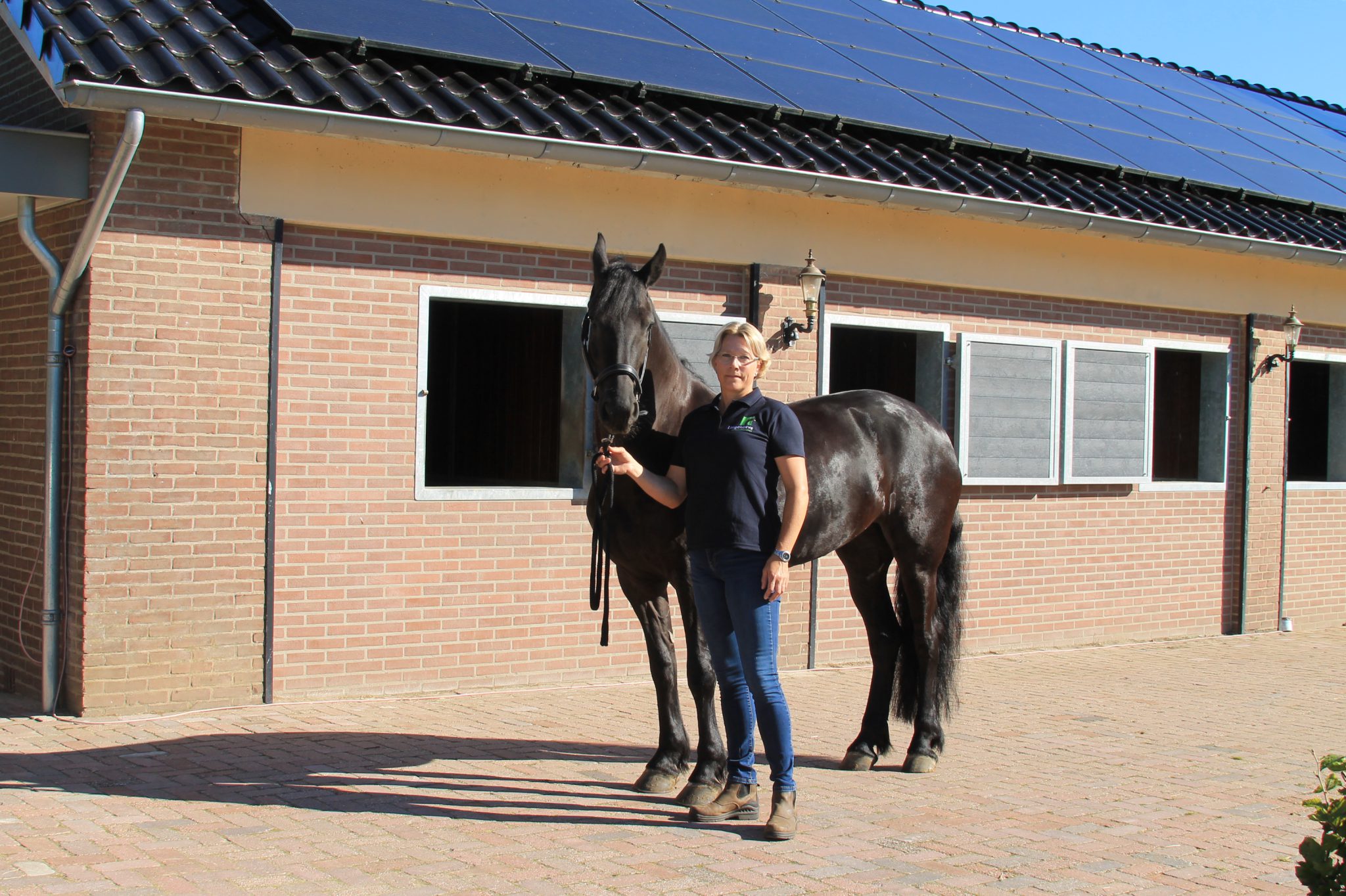Lingehoeve Oost Nederland paardenkliniek Lingehoeve Oost Nederland paardenkliniek