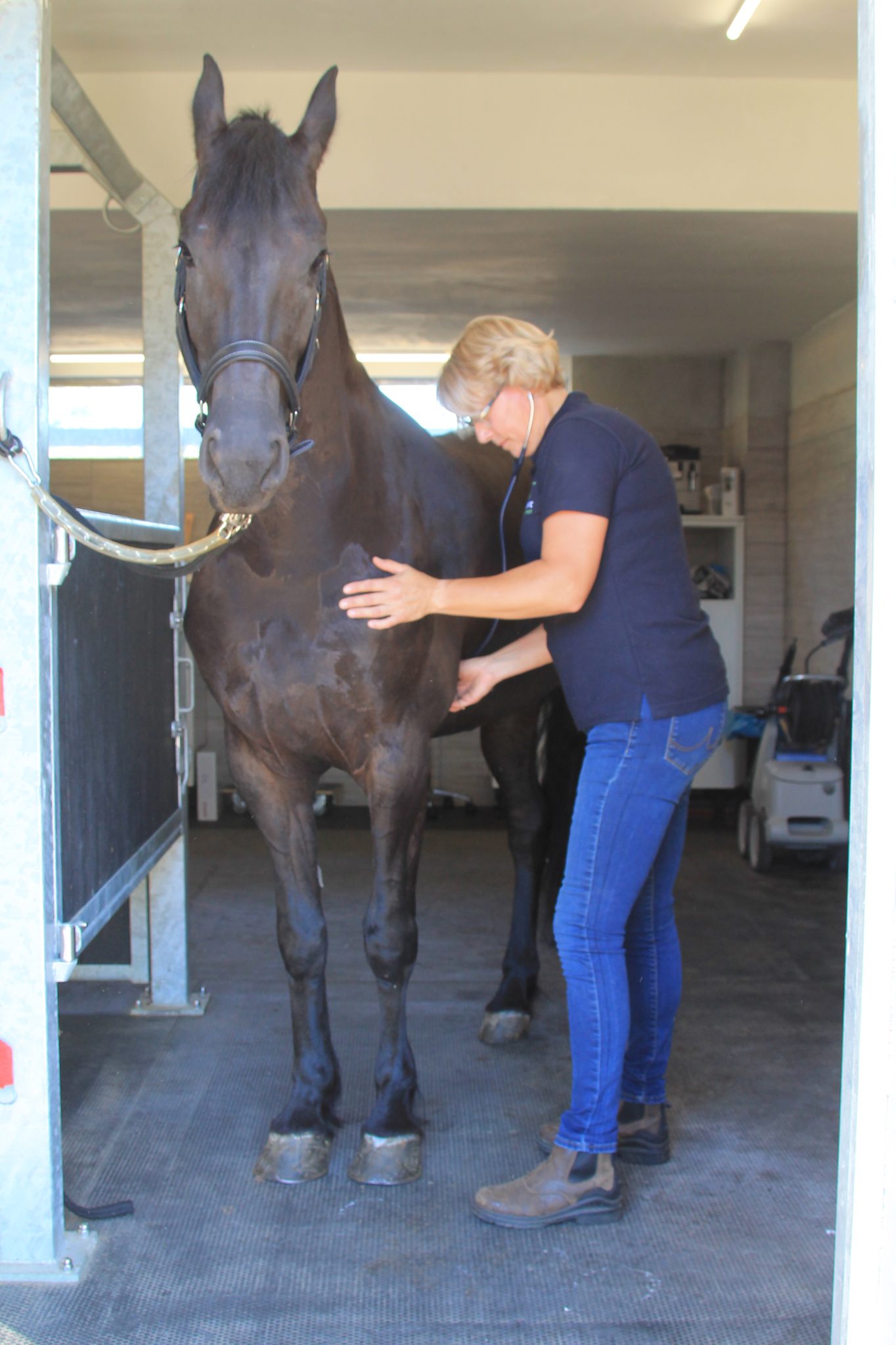 Lingehoeve Oost Nederland Lingehoeve Oost Nederland